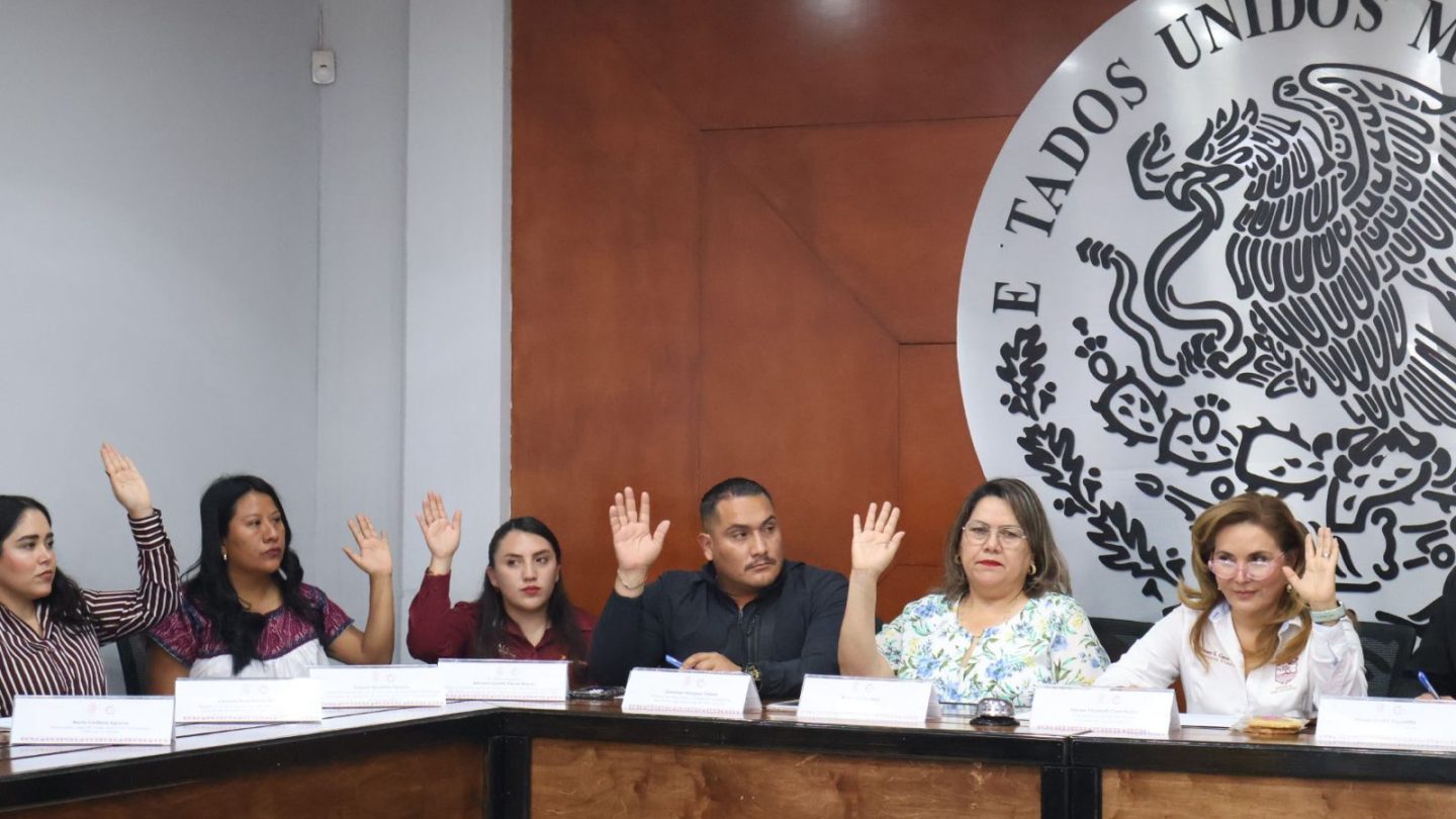 Instalan sistema de protección a niñez