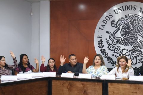Instalan sistema de protección a niñez