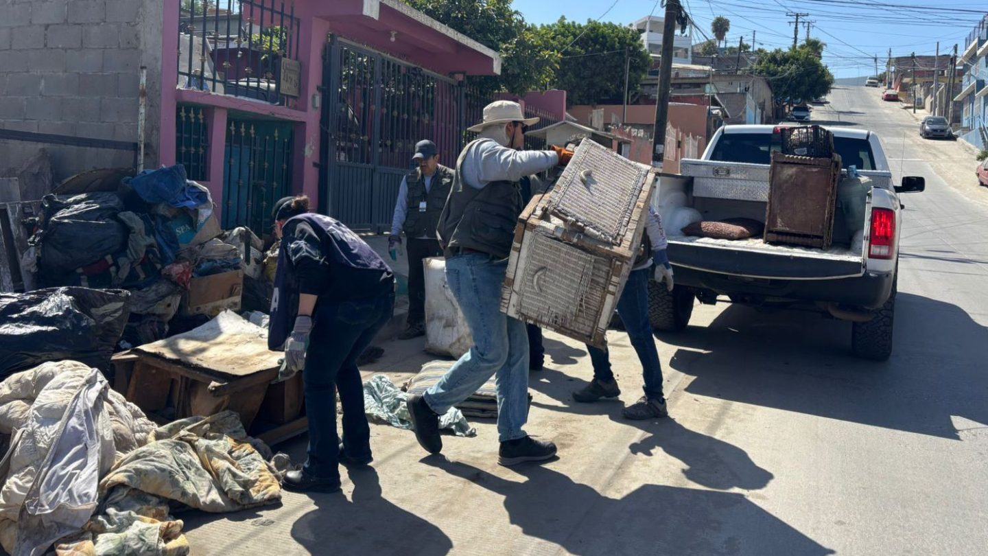 Pide JSSE mantener patios limpios contra dengue y rickettsiosis