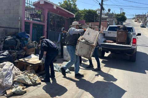 Pide JSSE mantener patios limpios contra dengue y rickettsiosis