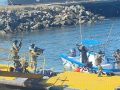 Realizan simulacro elementos navales