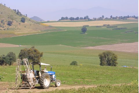 Perjudica a agro falta de pagos federales