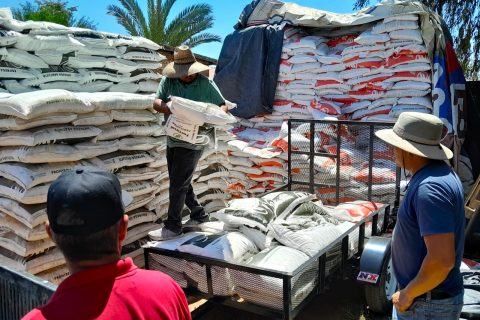 Finalizará la entrega de fertilizantes en BC
