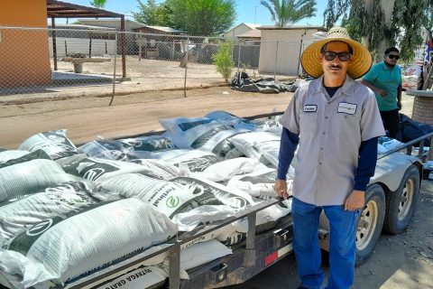 Los fertilizantes se componen de UREA y Fosfato Diamónico.