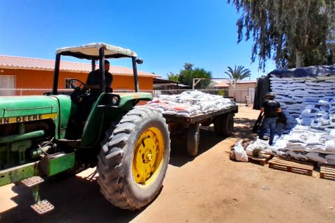 Es el cuarto año consecutivo que se otorgan fertilizantes gratuitos a los productores agrícolas de Baja California.