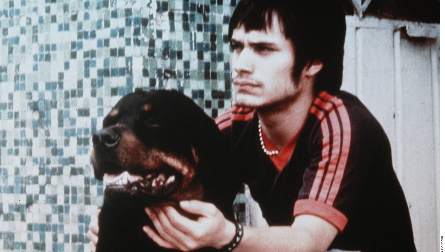 “Amores perros” volverá en serie
