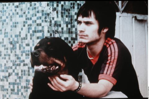 “Amores perros” volverá en serie