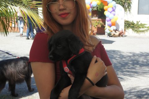 Abby adoptó a Toby.