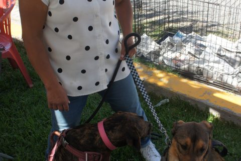 Ernestina Flores con Choco y Anthony.