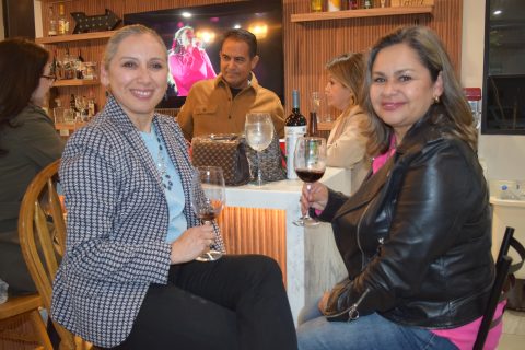 Cinthya Castillo y Valeria Leal Rivera.