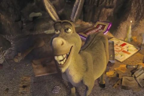 Va Burro por su filme