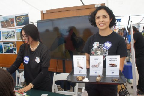 Minerva Rivera.