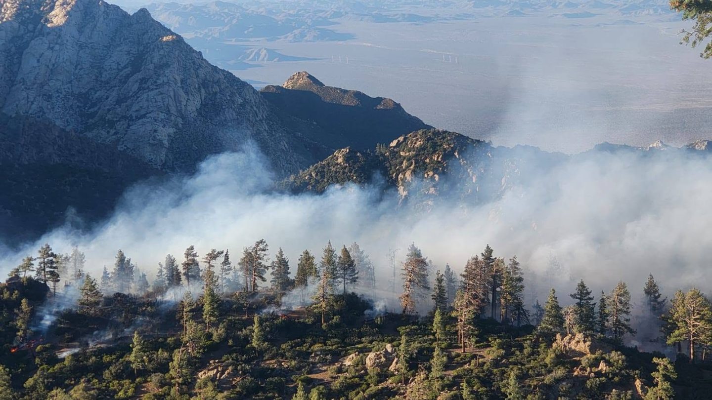 Sigue activo incendio en San Pedro Mártir