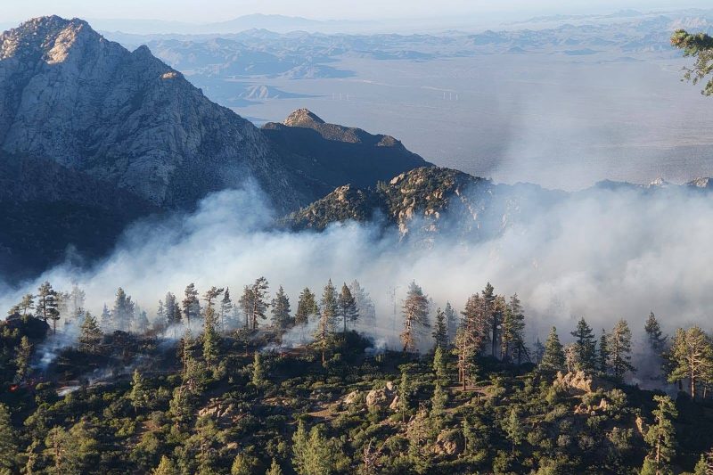 Sigue activo incendio en San Pedro Mártir