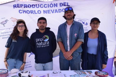 Samantha Soleno, Benjamín Mendoza, Ángel Hernández y Nadia Santos. 