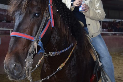 Andrea Padilla y Máximo. 