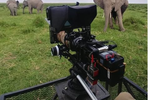 Documentales alzan la voz verde