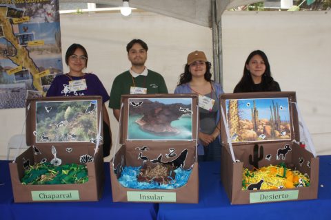 Belén, Javier, Rebeca y Angélica.