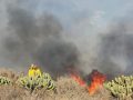 Controlan incendio en arroyo San Simón