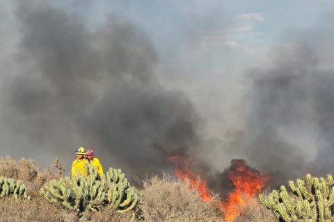 Siete bomberos trabajaron durante horas para contener el fuego.