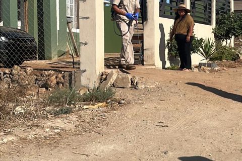Autoridades buscan sumar voluntarios a las jornadas de fumigación.
