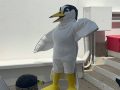 Invita Pro Esteros a torneo de futbol por aves playeras