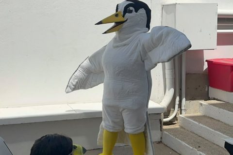Invita Pro Esteros a torneo de futbol por aves playeras