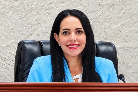 Presentan iniciativa a Ley de Edificaciones