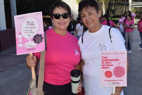 Pasos rosas