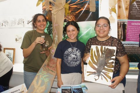 Elizabeth, Paola y Emeli.