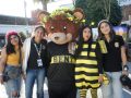 Aprenden sobre las abejas