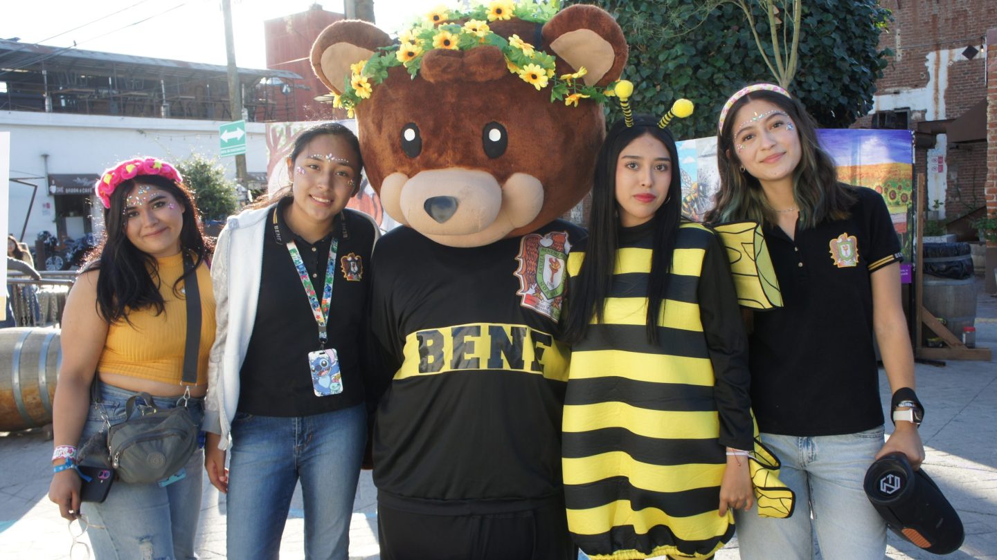 Aprenden sobre las abejas