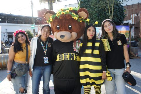 Aprenden sobre las abejas